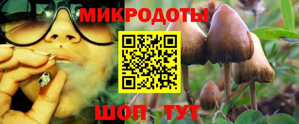 Галлюциногенные грибы ЛСД Гай