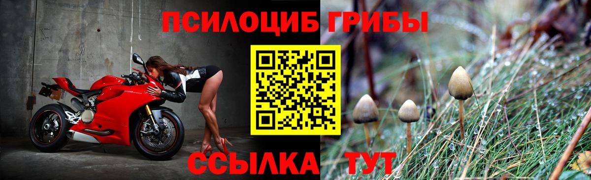 Псилоцибиновые грибы Magic Shrooms  Вход с VPN  Гай  Псилоцибиновые грибы Psilocybe 